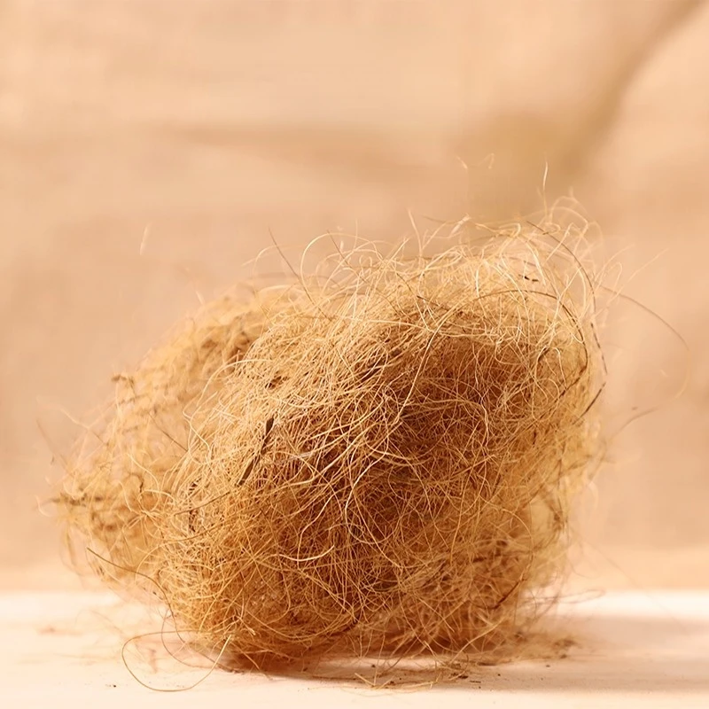 100g Serbuk Serat Kelapa Finch - Substrate Coconut Fiber ulasan dan harga